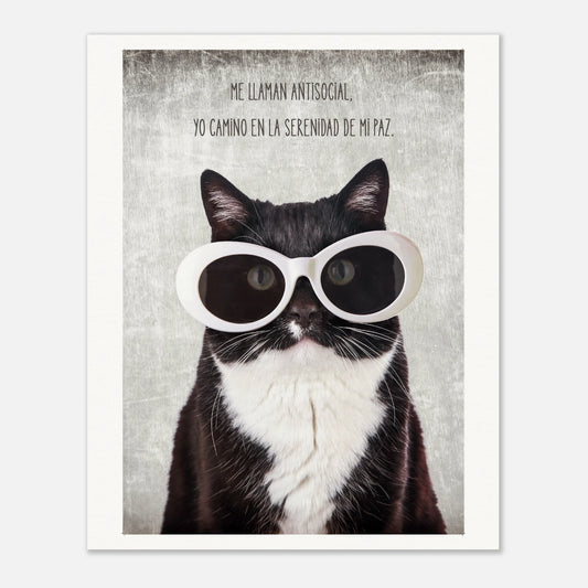 362962b8-63be-4723-902c-8a63c908176b