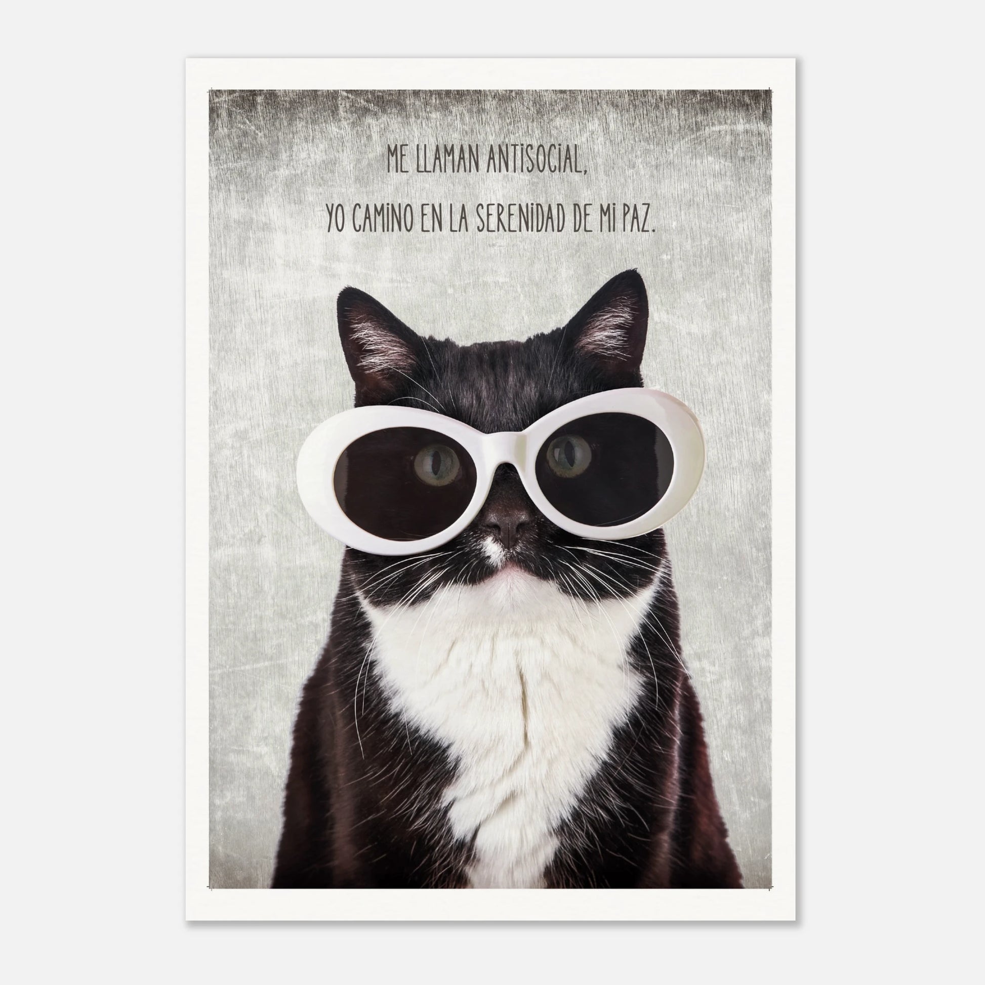 5ee537c3-67e6-4b11-b5ad-3d4a08d1d8ec