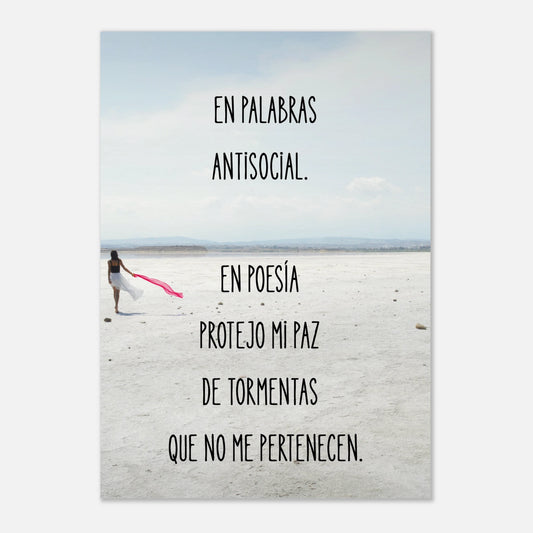 b0888ca8-c392-423d-a649-f386fde907a4