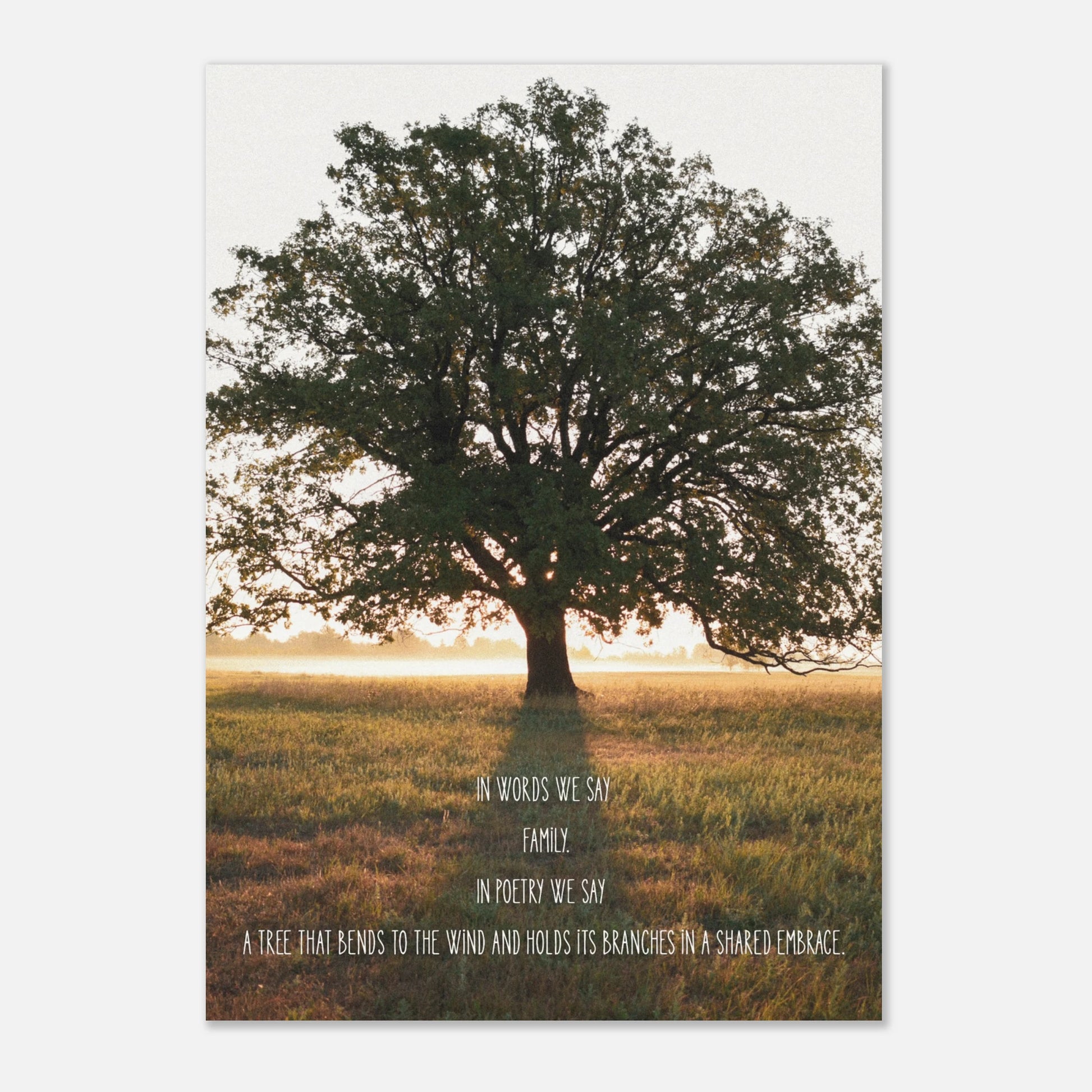 c0dc41c3-a4b3-4a96-af03-231cb6f11f36