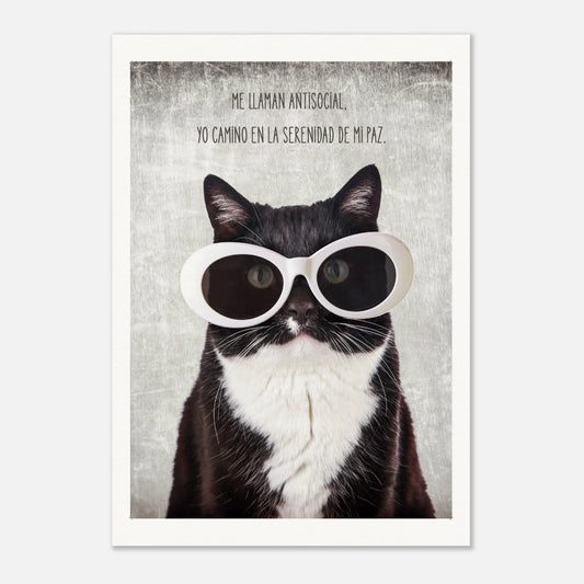 ece85d10-53a3-4954-8316-718e79797c03